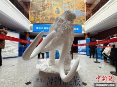 “黑龙江博物馆之旅冬季文物旅行箱巡展”启航